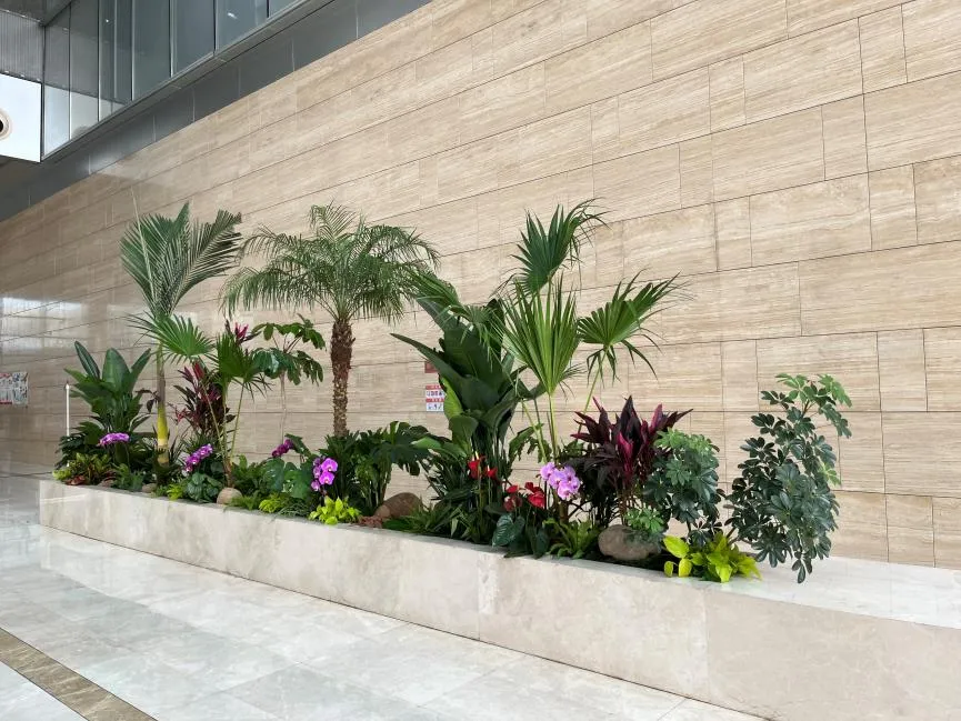 专业盆景租赁在宁波镇海，给您自然之美